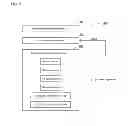 Fig. 06 - Device and method for detecting chemical and physical phenomena