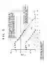 Fig. 06 - Numerical Analysis System