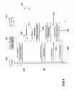 Fig. 08 - System and Method for Selecting, Distributing, Redeeming, and Reconciling Digital Offers