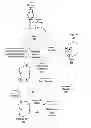 Fig. 01 - DYNAMICALLY CREATING A CONTEXT BASED ADVERTISEMENT