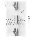 Fig. 06 - Visual shopping