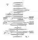 Fig. 02 - Electronic commerce gift shopping cart management system