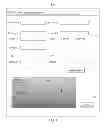 Fig. 06 - Presenting a document to a remote user to obtain authorization from the user