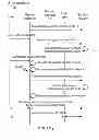 Fig. 05 - System and method for offering a multi-partner delegated platform