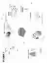 Fig. 03 - CONFIRMATION OF IDENTITY