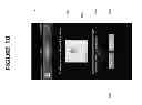 Fig. 11 - CONFIRMATION OF IDENTITY