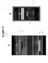 Fig. 20 - CONFIRMATION OF IDENTITY