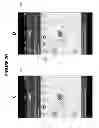 Fig. 25 - CONFIRMATION OF IDENTITY