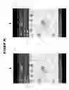 Fig. 26 - CONFIRMATION OF IDENTITY