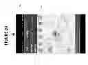 Fig. 27 - CONFIRMATION OF IDENTITY