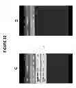 Fig. 30 - CONFIRMATION OF IDENTITY