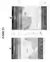 Fig. 32 - CONFIRMATION OF IDENTITY