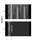 Fig. 33 - CONFIRMATION OF IDENTITY