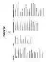 Fig. 40 - CONFIRMATION OF IDENTITY