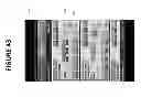 Fig. 58 - CONFIRMATION OF IDENTITY