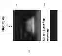 Fig. 62 - CONFIRMATION OF IDENTITY