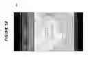 Fig. 69 - CONFIRMATION OF IDENTITY