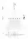 Fig. 10 - Confidentiality of files using file vectorization and machine learning