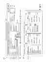 Fig. 12 - COMPLEX SITUATION ANALYSIS SYSTEM