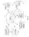 Fig. 02 - Migration of feedback data to equivalent digital assets