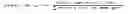 Fig. 02 - Selecting and presenting content relevant to user input