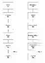 Fig. 07 - Instance management of code in a database