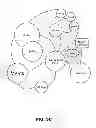 Fig. 06 - ENGINE, SYSTEM AND METHOD OF PROVIDING VERTICAL SOCIAL NETWORKS FOR CLIENT ORIENTED SERVICE PROVIDERS