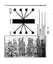 Fig. 19 - ENGINE, SYSTEM AND METHOD OF PROVIDING VERTICAL SOCIAL NETWORKS FOR CLIENT ORIENTED SERVICE PROVIDERS