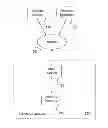Fig. 01 - System And Method For Implementing A Command Center In An Electronic Network