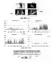 Fig. 12 - METHOD AND APPARATUS FOR ENFORCING BEHAVIOR OF DASH OR OTHER CLIENTS