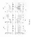 Fig. 13 - METHOD AND APPARATUS FOR ENFORCING BEHAVIOR OF DASH OR OTHER CLIENTS