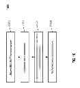 Fig. 30 - Method for optimizing WAN traffic with deduplicated storage