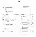 Fig. 10 - Method and system for the supply of data, transactions and electronic voting