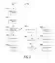 Fig. 05 - SYSTEM AND METHOD FOR GENERATING A BROWSER COMPATIBLE DOCUMENT