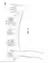 Fig. 05 - Dynamic user interactions for display control and identifying dominant gestures