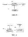 Fig. 04 - Engaging presentation through freeform sketching