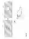Fig. 13 - USER INPUT DETERMINATION
