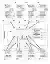 Fig. 01 - CREATING PLUGGABLE ANALYSIS VIEWPOINTS FOR AN OPTIMIZATION SYSTEM MODEL