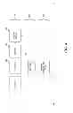 Fig. 05 - VIRTUAL MACHINE BRANCHING AND PARALLEL EXECUTION