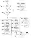 Fig. 08 - Advertisement insertion systems, methods, and media