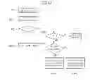 Fig. 47 - Method for transmitting broadcast service, method for receiving broadcast service, and apparatus for receiving broadcast service