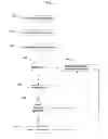Fig. 05 - Identity theft countermeasures