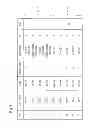 Fig. 07 - ANONYMIZATION DEVICE AND ANONYMIZATION METHOD