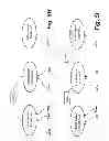 Fig. 25 - Methods and systems for providing access control to secured data