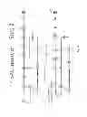 Fig. 17 - ANIMAL MODELS AND THERAPEUTIC MOLECULES
