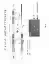 Fig. 33 - ANIMAL MODELS AND THERAPEUTIC MOLECULES