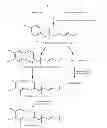 Fig. 03 - COMPOSITIONS AND METHODS FOR ALTERING ALPHA- AND BETA-TOCOTRIENOL CONTENT