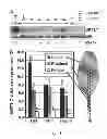 Fig. 04 - Method for changing nitrogen utilization efficiency in plants