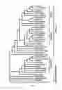 Fig. 02 - Polynucleotides and Polypeptides in Plants