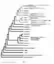 Fig. 03 - Polynucleotides and Polypeptides in Plants